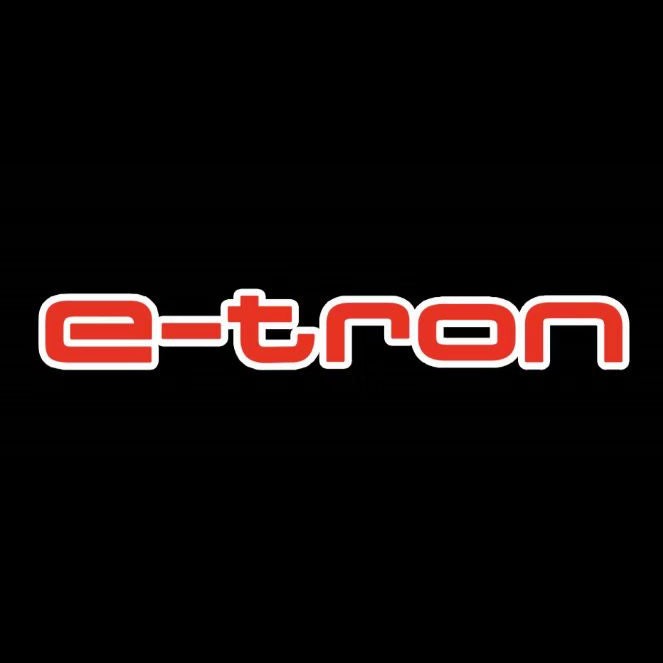 AUDI E-TRON LOGO PROJECTOT LIGHTS Nr.289  (quantity 1 = 2 Logo Films /2 door lights）