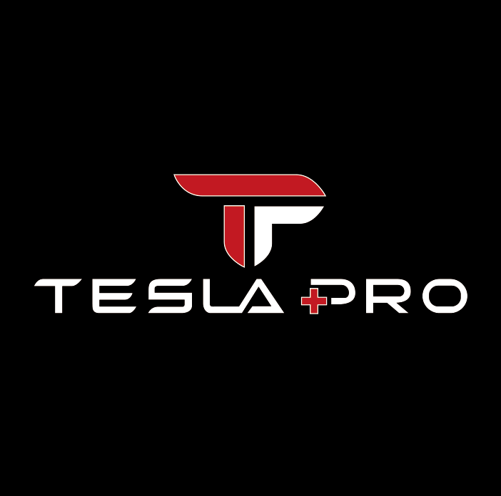 TESLA PRO LOGO PROJECROTR LIGHTS Nr.1530  (quantity  1 =  2 Logo Film /  2 door lights)