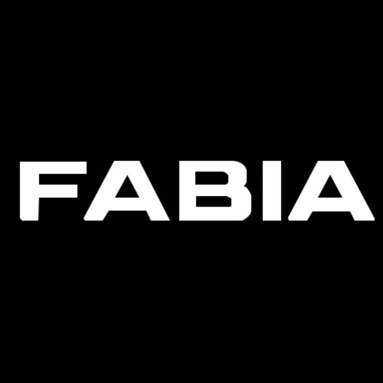 SKODA FABIA  6 Y LOGO PROJECTOT LIGHTS Nr.19  (quantity 1 = 2 Logo Films /2 door lights）