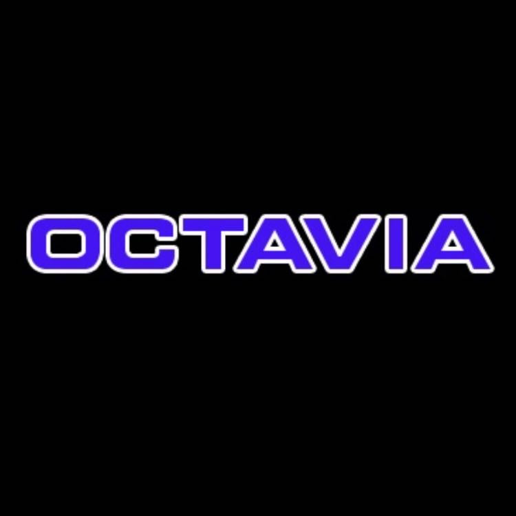 SKODA OCTAVIA LOGO PROJECTOT LIGHTS Nr.86 (quantity  1 =  2 Logo Film /  2 door lights)