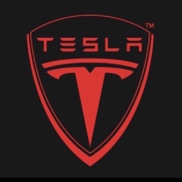 TESLA LOGO PROJECROTR LIGHTS Nr.1507 (quantity  1 =  2 Logo Film /  2 door lights)