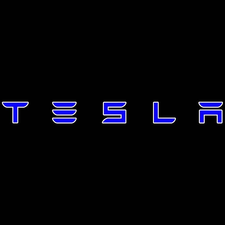 TESLA LOGO PROJECROTR LIGHTS Nr.1502 (quantity  1 =  2 Logo Film /  2 door lights)