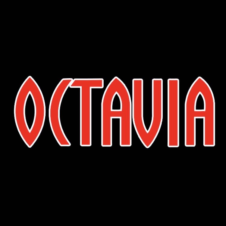 SKODA OCTAVIA LOGO PROJECTOT LIGHTS Nr.101 (quantity  1 =  2 Logo Film /  2 door lights)