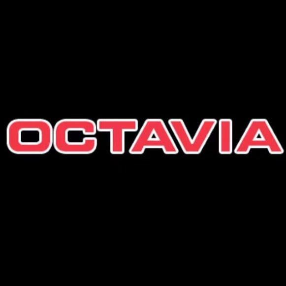 SKODA  OCTAVIA LOGO  LIGHTS Nr.106 (quantity  1 =  2 Logo Film /  2 door lights)