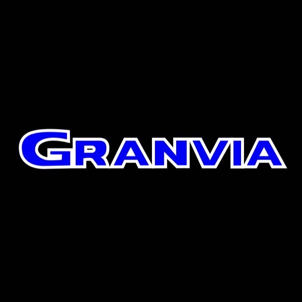 Toyota  GRANVIA LOGO PROJECROTR LIGHTS Nr.02 (quantity 1 = 1 sets/2 door lights)T36