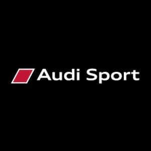 AUDI SPORT LOGO PROJECTOT LIGHTS Nr.69  (quantity 1 = 2 Logo Films /2 door lights）