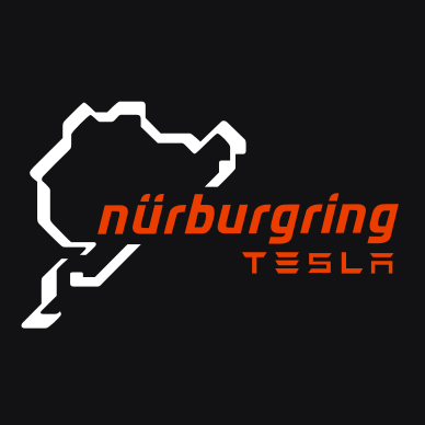 TESLA NÜRBURGRING LOGO Nr. 1528 (quantity 1 = 1 sets/2 door lights)