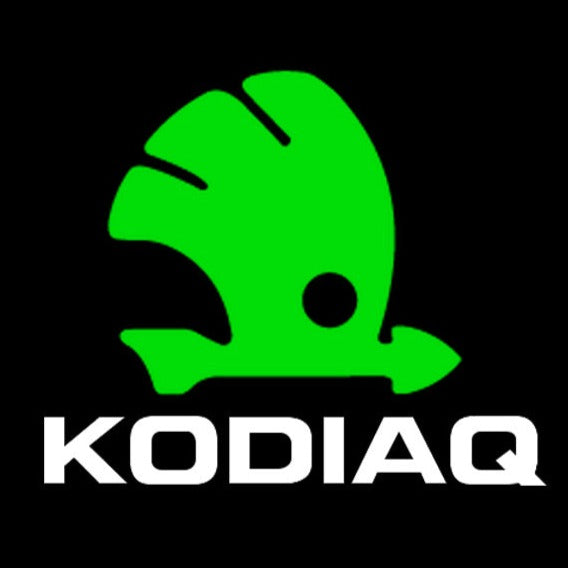 SKODA KODIAQ LOGO PROJECTOT LIGHTS Nr.76 (quantity  1 =  2 Logo Film /  2 door lights)