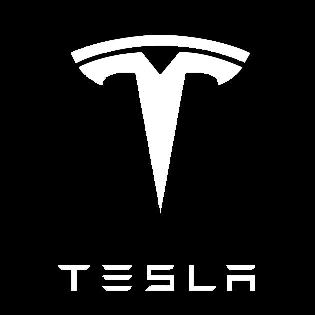 TESLA LOGO PROJECROTR LIGHTS Nr.1501 (quantity  1 =  2 Logo Film /  2 door lights)