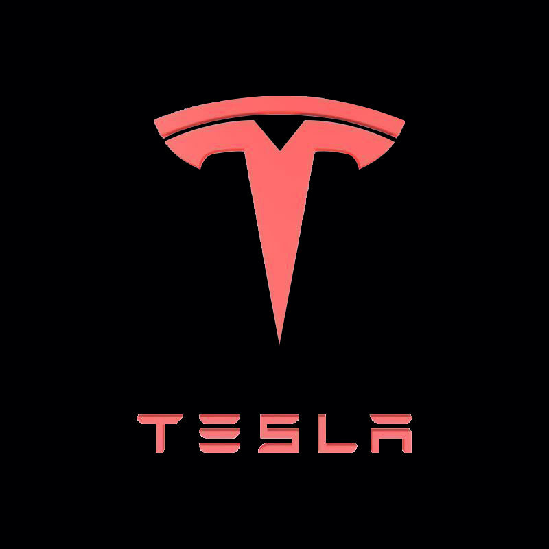 TESLA LOGO PROJECROTR LIGHTS Nr.1513 (quantity  1 =  2 Logo Film /  2 door lights)