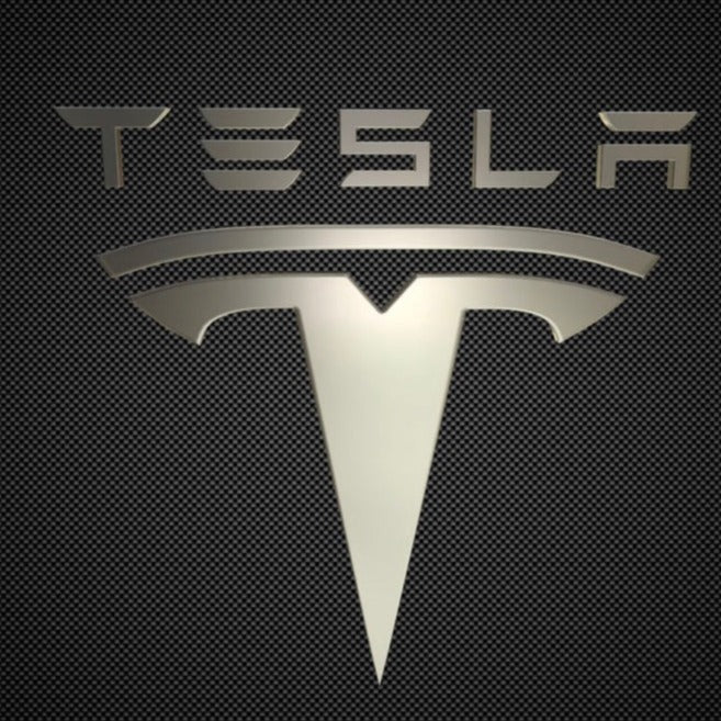 TESLA LOGO PROJECROTR LIGHTS Nr.1510 (quantity  1 =  2 Logo Film /  2 door lights)