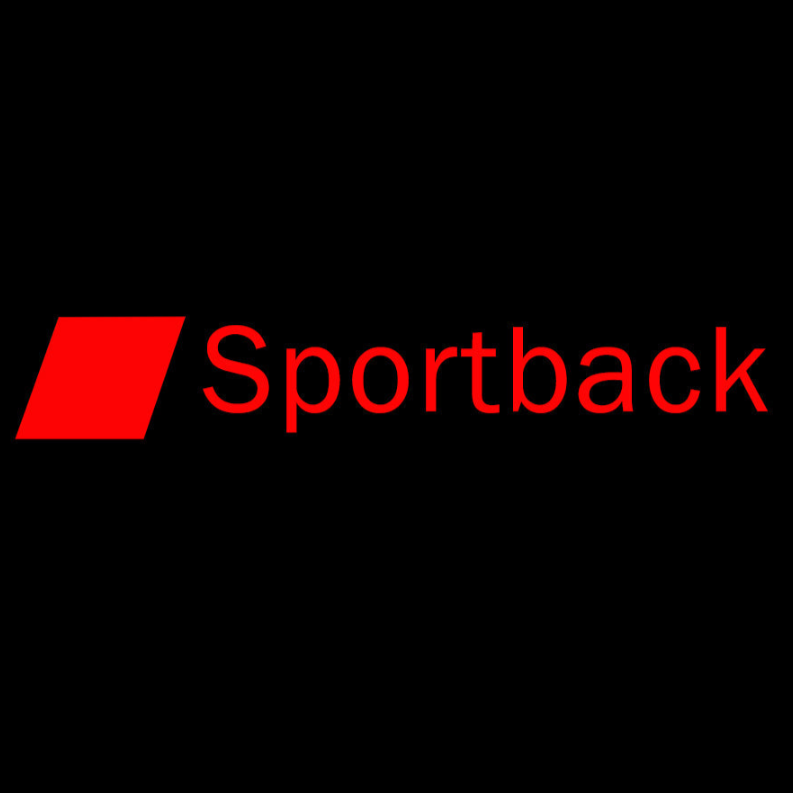 AUDI  SPORTBACK LOGO PROJECTOT LIGHTS Nr.110  (quantity 1 = 2 Logo Films /2 door lights）