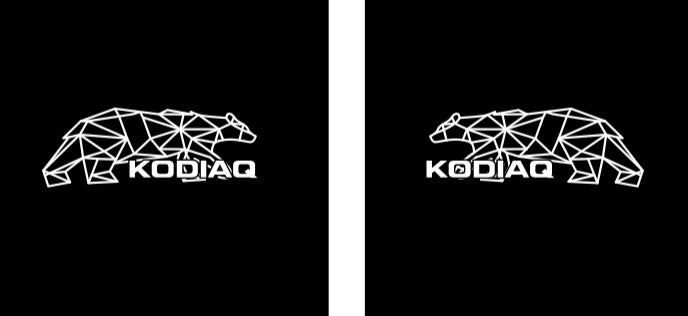 SKODA KODIAQ LOGO PROJECTOT LIGHTS Nr.00068 (quantity  1 =  2 Logo Film /  2 door lights)